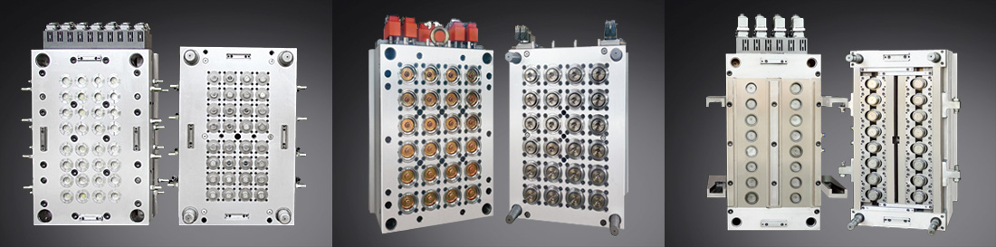 De beïnvloedende factoren die van invloed zijn op schimmels